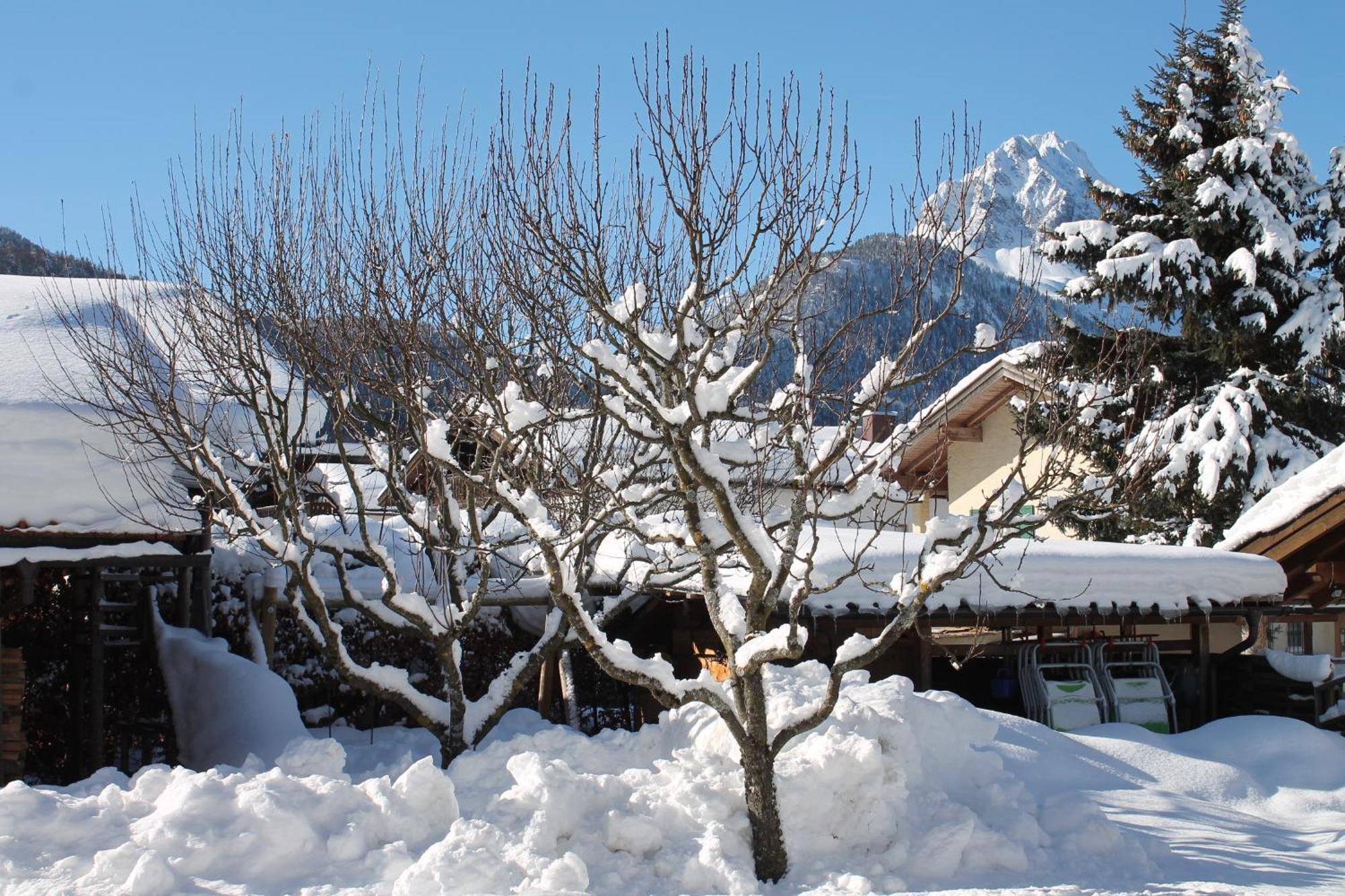 Ferienapartmenthaus Hubertushof Mittenwald Exteriör bild